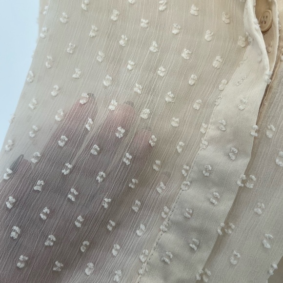 Zara Semi Sheer Swiss Dot Long Sleeve Button Down Blouse - Picture 6 of 8